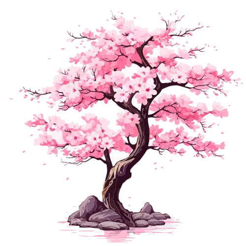 cerisier du japon